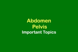 Abdomen-and-Pelvis-important-topics