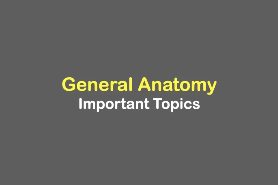 General-anatomy-important-topics