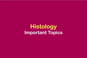 Histology-important-topics