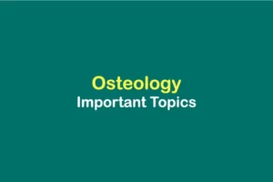 Osteology-important-topics