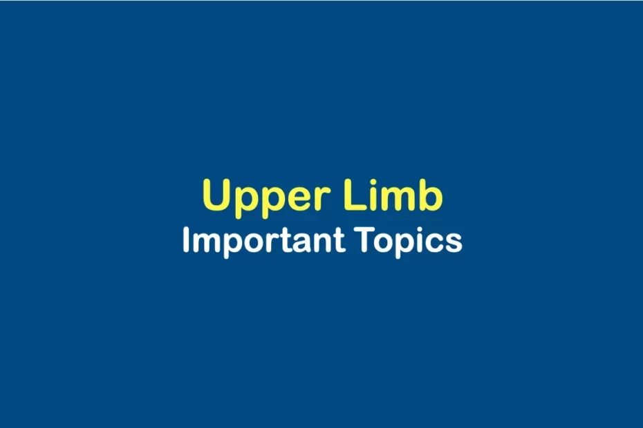 Upper-limb-anatomy-important-topics
