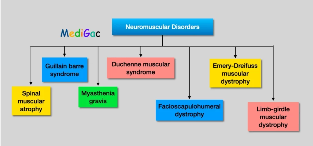 Paediatrics Neuromuscular disorders